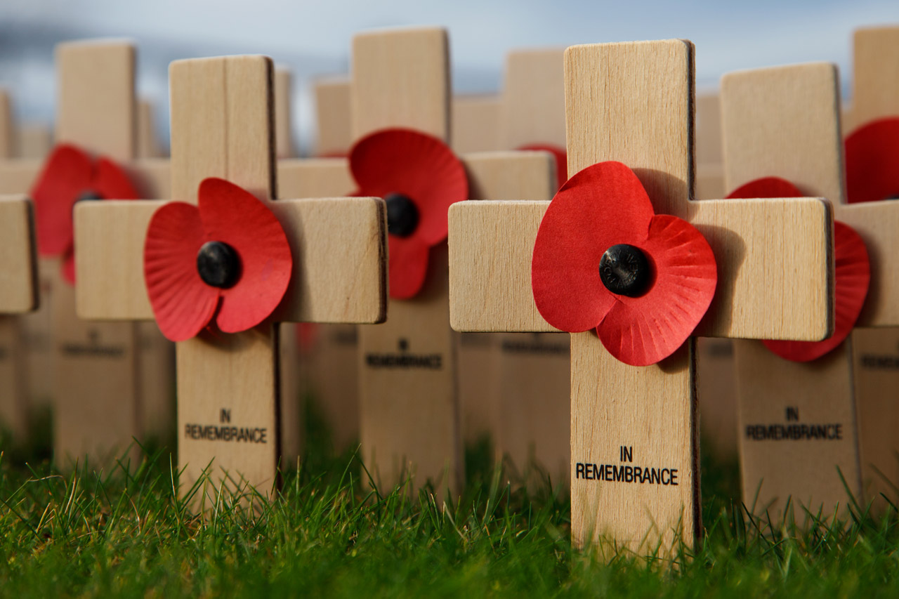 Poppies on crosses with the words "In Remembrance"
